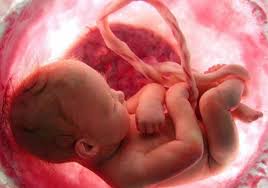 %d8%aa%d9%86%d8%b2%d9%8a%d9%84