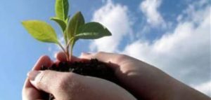 %d9%85%d8%a7_%d9%87%d9%88_%d8%a7%d9%84%d8%b9%d8%b7%d8%a7%d8%a1