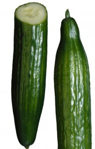 1598_cucumber_main