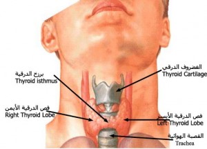 thyroidkr0