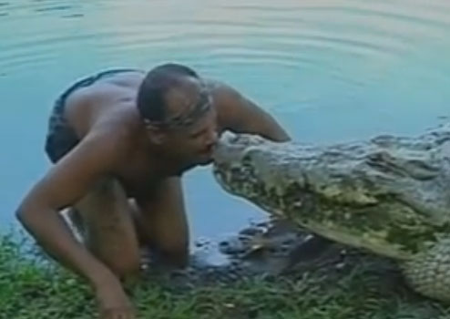 فيديو / رجل يصارع تمساح