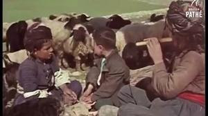 فيديو : الحياة في بغداد بحقبة الخمسينات