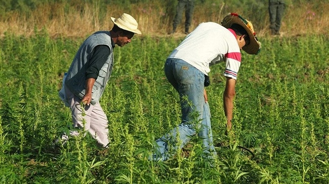 150 شركة إسرائيلية ترغب في الاستثمار في