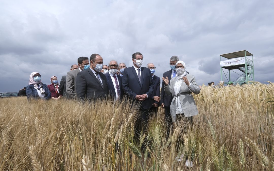 أخنوش في زيارة للضيعة التجريبية الزراعية مرشوش بإقليم الخميسات