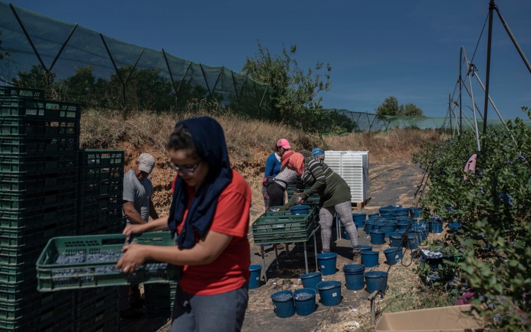 أُقصين دون مبرر من العمل بإسبانيا.. مطالب لأمكراز بإنصاف 1554 عاملة مغربية