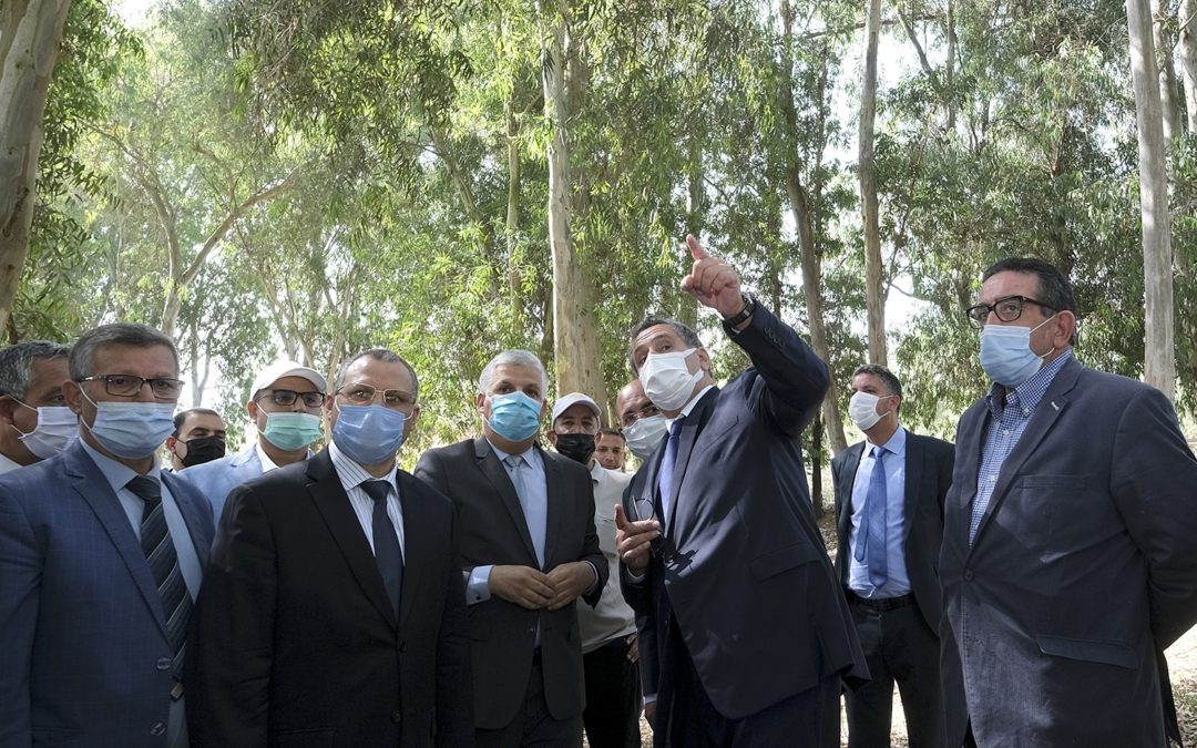 إقليم العرائش.. أخنوش يشرف على إطلاق وزيارة عدة مشاريع للتنمية الفلاحية