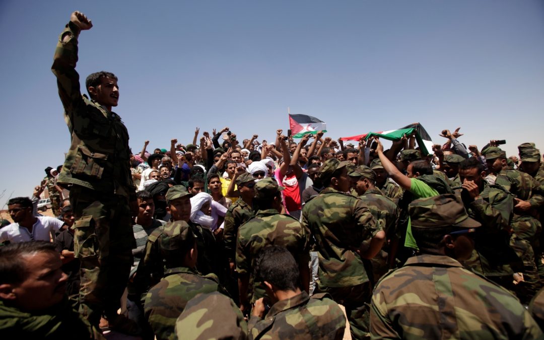 البوليساريو تبدع مناورة جديدة  في البرلمان الأوروبي