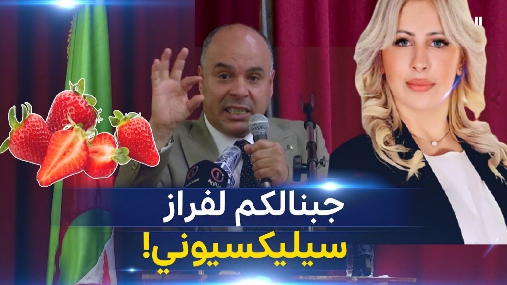 الجزائر.. حملة انتخابية وسط موجة سخط وسخرية