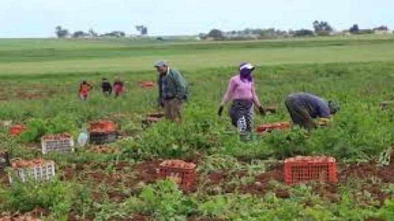 سوس ماسة.. تقديم المخطط الفلاحي الجهوي الجديد