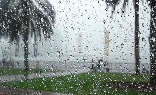 طقس الأربعاء.. ضباب كثيف مع نزول قطرات مطرية