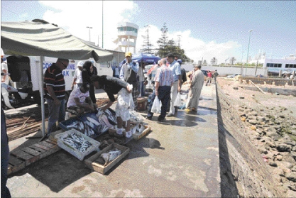 غريب.. شرطي يمنع النساء من دخول سوق السمك بميناء المحمدية!
