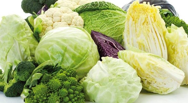ما هي الخضروات الورقية الأكثر فائدة للجسم؟