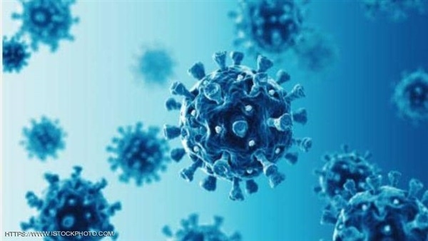 القليوبية تسجل 20 إصابة جديدة بفيروس كورونا